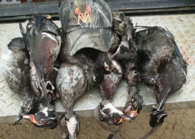 Fish Kabob Bowfishing - Coast Alabama's Only Air-Driven Charter - Duck Hunting